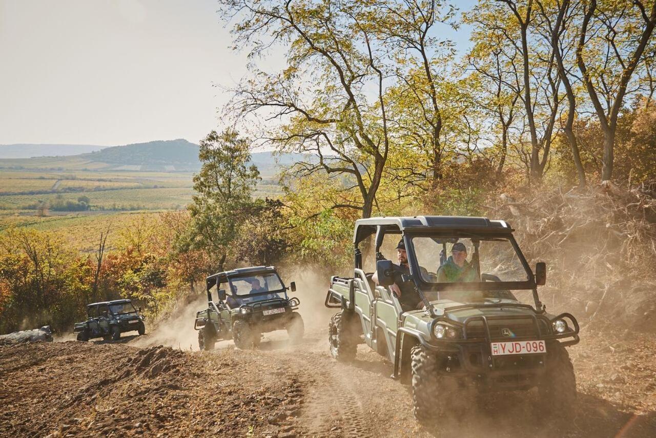 Henye Vendégház Bodrogkeresztur Esterno foto
